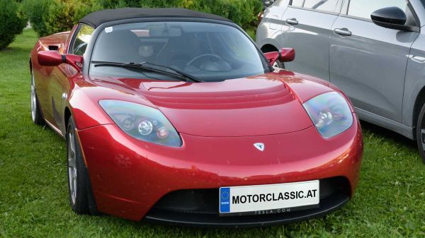 Roter Roadster von Tesla steht auf einer Wiese.