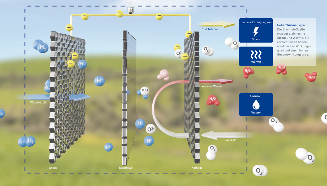 Wasserstoffautos: Alle Infos Im Überblick | EnBW