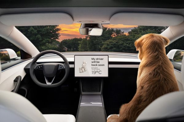 Hund sitzt im Tesla, während der Tesla Dog Mode eingeschaltet ist.